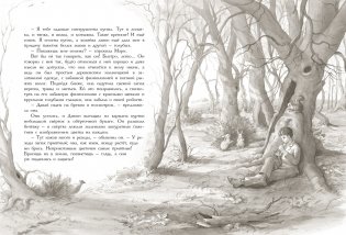 Таинственный сад фото книги 3