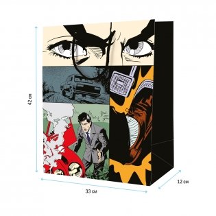 Пакет подарочный 33х42х12 см ArtSpace "Drive", ламинированный. Арт. L_46222 фото книги 3