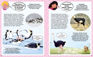 Ответы почемучкам. 100 вопросов обо всем на свете фото книги 6