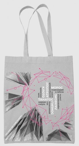 Сумка холщовая «Во главе раздора» фото книги