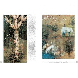 Иероним Босх фото книги 2