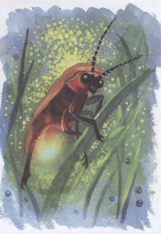 На лесной тропинке фото книги 3