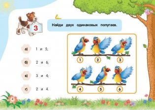 Внимание и память фото книги 5