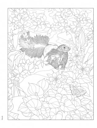 Creative Haven Forest & Woodland Wildlife Coloring Book фото книги 7