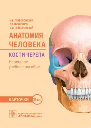 Анатомия человека. Кости черепа. Карточки + кольцо для стяжки карточек: наглядное учебное пособие фото книги