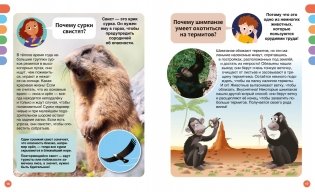 Почему? Вопросы и ответы обо всём на свете фото книги 5