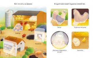 Домашние животные фото книги 2