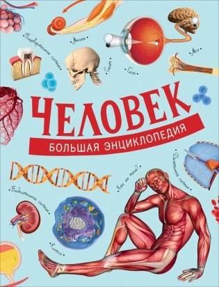 Человек. Большая энциклопедия фото книги