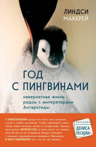 Год с пингвинами. Невероятная жизнь рядом с императорами Антарктиды фото книги