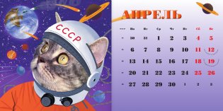 Бэнни-шоу. Календарь на 2026 год фото книги 3