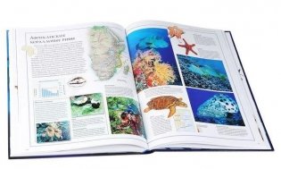 Иллюстрированный атлас. Животный мир. Карты, цифры, факты, гипотезы, сравнения фото книги 3