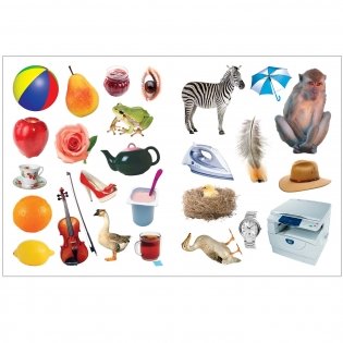 Моя первая английская азбука фото книги 2