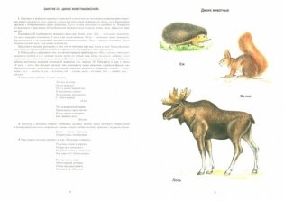 Занимаемся вместе. Средняя группа компенсирующей направленности для детей с ТНР. Часть 2. ФГОС фото книги 2