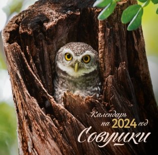 Совушки. Календарь настенный на 2024 год (300х300 мм) фото книги