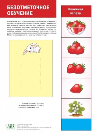 Линеечка успеха. Клубника фото книги