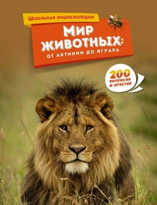 Мир животных: от актинии до ягуара фото книги