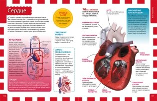 Лучшая энциклопедия для почемучек и любознашек фото книги 5