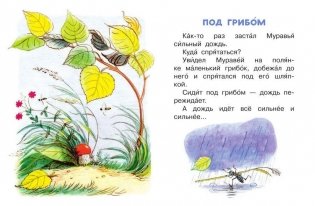 Сказки в картинках фото книги 3