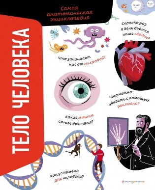 Тело человека. Самая анатомическая энциклопедия фото книги