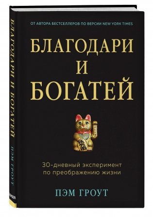 Благодари и богатей. 30-дневный эксперимент по преображению жизни фото книги 2
