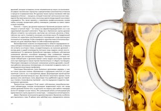 Маленькая книга гурмана. Пиво фото книги 9