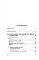 Корейский язык. 4 книги в одной: разговорник, корейско-русский словарь, русско-корейский словарь, грамматика фото книги маленькое 5