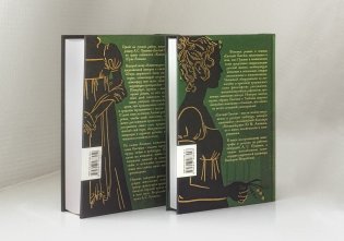 Евгений Онегин с комментариями Ю. М. Лотмана. В 2-х книгах фото книги 3