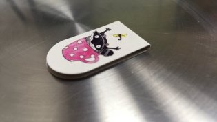 Магнитные закладки. Еноты - обормоты (6 закладок) фото книги 3