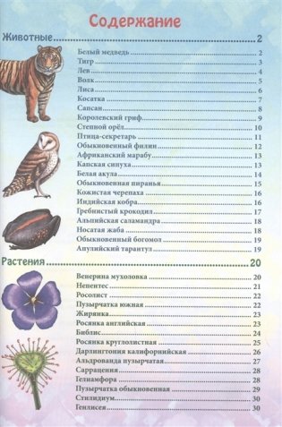 Энциклопедия. Хищники фото книги 2