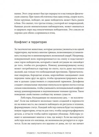 12 правил жизни. Противоядие от хаоса фото книги 6