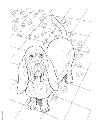 Creative Haven the Dog Lovers' Coloring Book фото книги 4