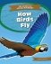 How Birds Fly фото книги маленькое 2