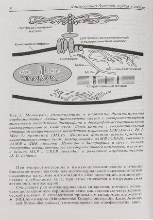 Диагностика болезней внутренних органов. Том 8: Диагностика болезней сердца и сосудов фото книги 9
