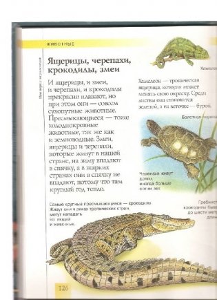 Моя первая энциклопедия фото книги 4
