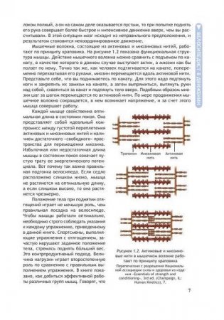 Анатомия велосипедиста. Иллюстрированное пособие: мышцы, связки суставы в движении фото книги 7
