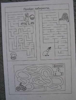 Пройди лабиринты. Задания на зрительное восприятие и мелкую моторику рук. Для детей 4-5 лет фото книги 5