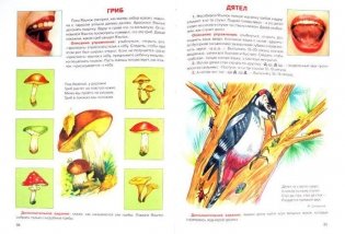 Большой логопедический учебник с заданиями и упражнениями для самых маленьких фото книги 2