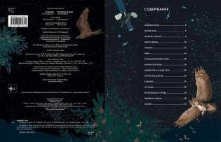 Посмотри на небо! фото книги 4