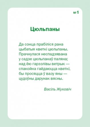 Легко! Дидактические карточки "Цветы" (4-7 лет) фото книги 5