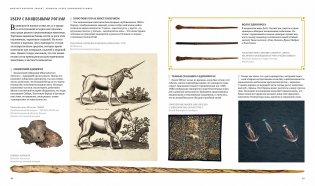 Фантастические твари. Природа чудес волшебного мира фото книги 4