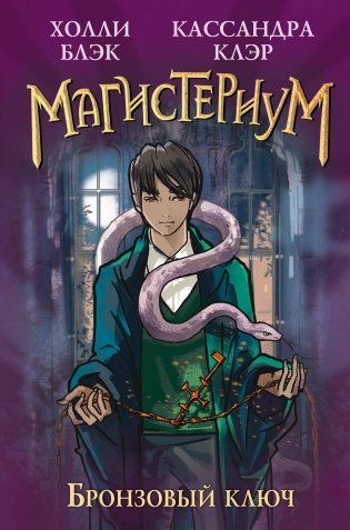 Бронзовый ключ (#3) фото книги