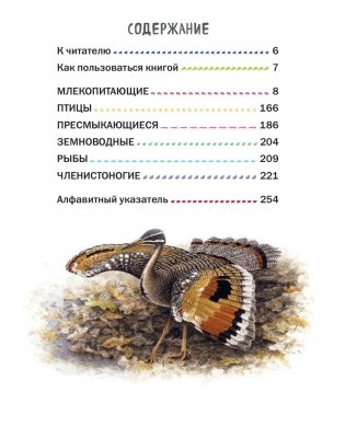 Все животные с крупными буквами фото книги 4