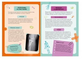 Детская энциклопедия. Тело человека фото книги 4