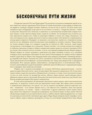 Эволюция. Как изменилась жизнь за миллиарды лет фото книги 2