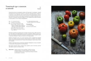 Суп дня: Супы, бульоны, пюре, а также хлеб, крутоны, гренки. 120 живительных рецептов фото книги 6