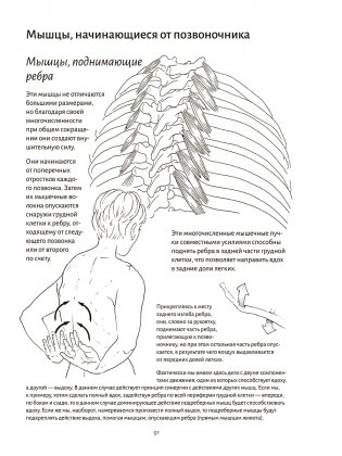Анатомия дыхания фото книги 11