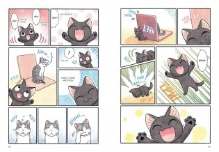 Сью и Тайчик. Книга 3 фото книги 5