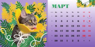 Бэнни-шоу. Календарь на 2026 год фото книги 2