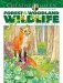 Creative Haven Forest & Woodland Wildlife Coloring Book фото книги маленькое 2