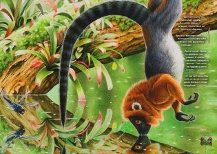 Ида. Взгляд из прошлого фото книги 3